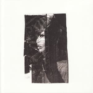 Swans - The Rational Academy