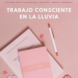 Trabajo Consciente En La Lluvia: Fluyendo Con La Naturaleza, Insectos Y Música Tranquila - Lluvia PQ