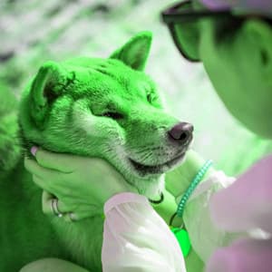 Incredible Background Music for Anxious Hound - Sleepy Dogs