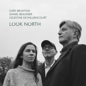 Look North - Gary Brunton