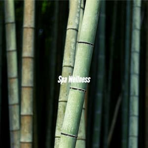 Spa Wellness - Night-Time Jazz