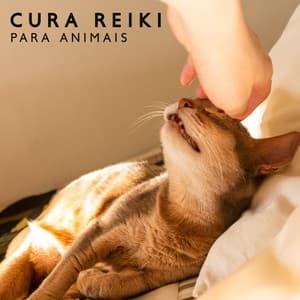 Cura Reiki para Animais: Serenidade para Animais de Estimação à Beira da Lareira - Academia de Música para Animais