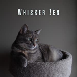Whisker Zen: Calming Tunes for Cat Meditation - The Meditations