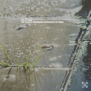 The Peace-Bringing Radiance of Rain - Rainforest Ambience