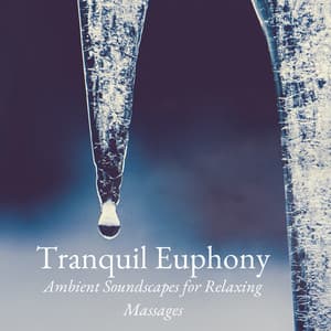 Tranquil Euphony: Ambient Soundscapes for Relaxing Massages - Piano Relaxium