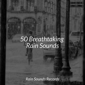 50 Breathtaking Rain Sounds - Ocean Waves For Sleep
