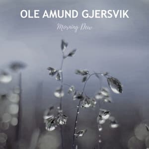 Morning Dew - Ole Amund Gjersvik