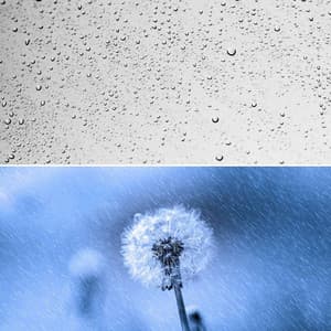 Music for Creativity and Rain - Exquisite Chill Out - Refreshing Tracks