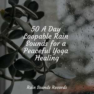 50 A Day Loopable Rain Sounds for a Peaceful Yoga Healing - Nature Sounds Nature Music