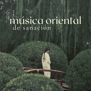 Música Oriental de Sanación: Canciones para Terapias Alternativas y Medicina Holística - Musica Oriental Ensemble