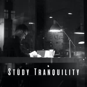 Study Tranquility: Meditative Piano Exploration - Classical Piano Channel