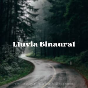Gotas De Lluvia De Tranquilidad: Lluvia Binaural - Binaurales Colectivo
