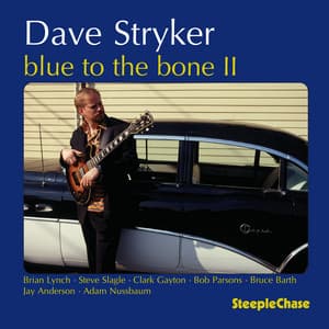 Blue to the Bone II - Dave Stryker