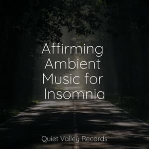 Affirming Ambient Music for Insomnia - Big Sounds