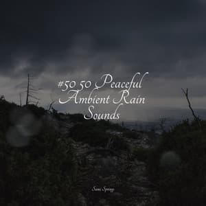 #50 50 Peaceful Ambient Rain Sounds - meditacou musica ambiente