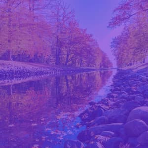 Music for Creative Daydreams - Hot No Drums Jazz - Music for Retail Greats