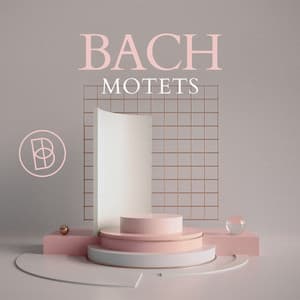 Bach: Motets - Johann Sebastian Bach
