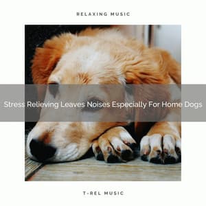 Stress Relieving Leaves Noises Especially For Home Dogs - Dog Total Relax