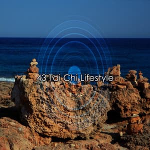 43 Tai Chi Lifestyle - Yoga Music