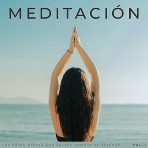 Meditación: Una Buena Mañana Con Suaves Sonidos De Arroyos Vol. 1 - Dao Naturaleza