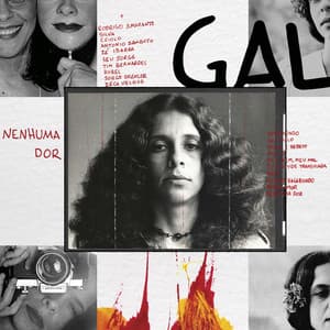 Nenhuma Dor - Gal Costa