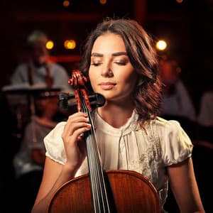 Orchestra for Work: Calming Sounds - Charles Anderson