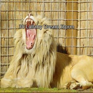 30 Lullaby Dream Storm - Piano and Thunderstorm