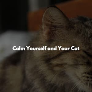 Calm Yourself and Your Cat - Reading Music Playlist