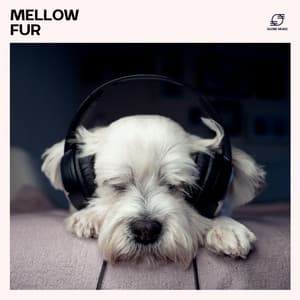 Mellow Fur: Dog Music - Pet Music Maestro