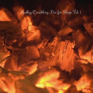 Medley Crackling Fire for Sleep Vol. 1 - Sleepy Dogs