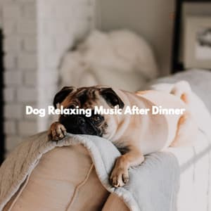 Dog Relaxing Music After Dinner - Jazz Acustico