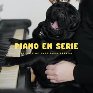 Piano En Serie: Ritmos De Jazz Para Perros - Chillout Salón Piano