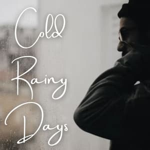 Cold Rainy Days - Native American Meditations