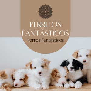 Perros Fantásticos - Perritos Fantásticos