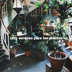 Jazz verdoso para las plantas - Musica Rilassante Mattutina Orchestra