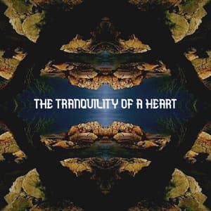 The Tranquility of a Heart - Joker Beats