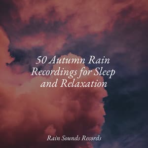 50 Autumn Rain Recordings for Sleep and Relaxation - Sleep Sound Library