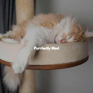 Purrfectly Mod - Gentle Jazz Trio