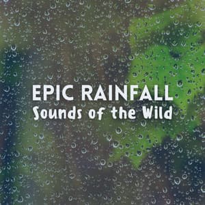 Epic Rainfall: Sounds of the Wild - Rain Ambience