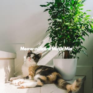 Meow-nificent Music Mix - Música Tranquila para Bares