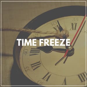 Time Freeze - White Noise Android