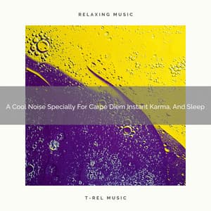 A Cool Noise Specially For Carpe Diem Instant Karma, And Sleep - Sweet Baby Dreams & Noises