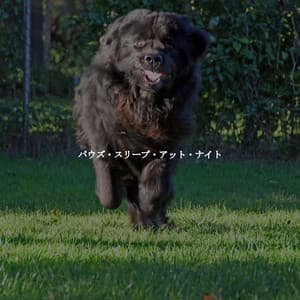 パウズ・スリープ・アット・ナイト - Desayuno Jazz Playlist