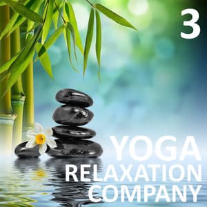 Yoga Relaxation Company, Vol. 3 - Yoga Relaxation Company