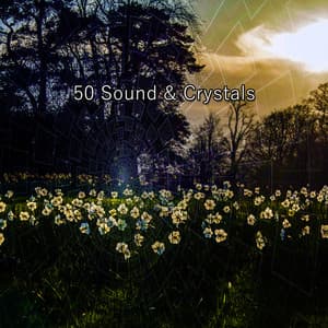 50 Sound & Crystals - Musica Para Estudiar Academy