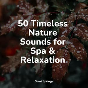 50 Timeless Nature Sounds for Spa & Relaxation - Anxiety Relief