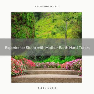 Experience Sleep with Mother Earth Hard Tunes - Ambient Forest