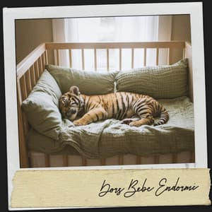 Dors Bébé Endormi: Nocturne de Sérénité - Relajacion