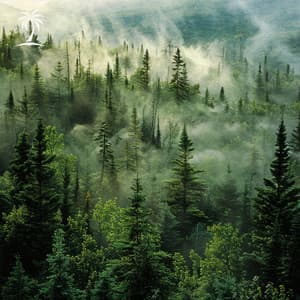 Rhythm of the Ancestors - Lucky Days