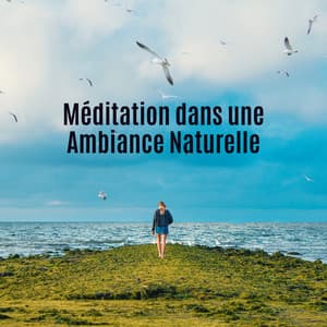 Méditation dans une Ambiance Naturelle - Oasis de Musique Zen Spa